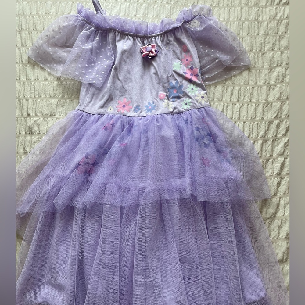 Disney Encanto Isabella dress